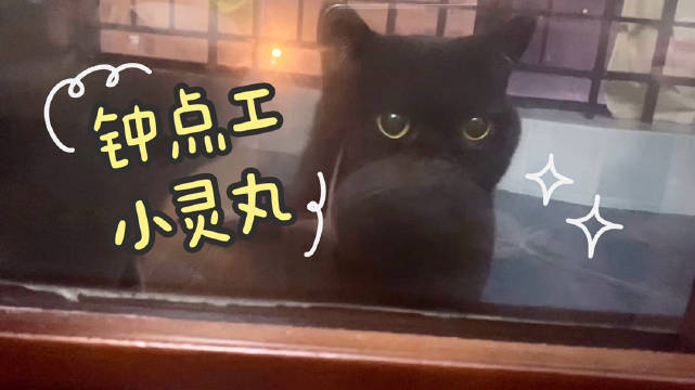 花样宅家挑战